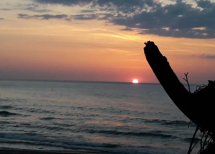 Lido Дом отдыха Вице